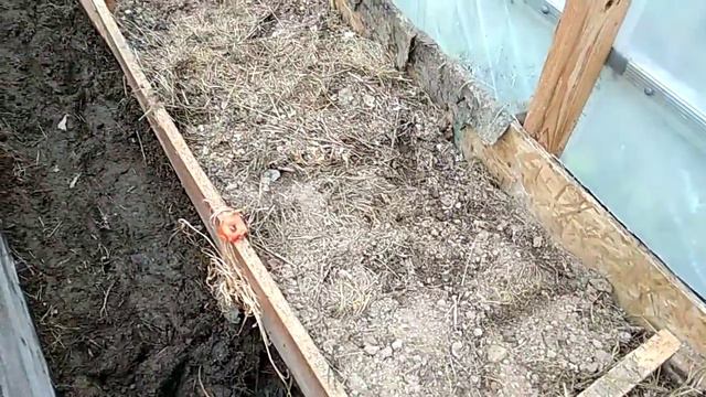 21 августа муравьи в теплице смотреть онлайн