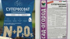 Фосфор в жизни растений!! Для чего он необходим, и как его вносить??