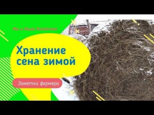 Как правильно хранить сено зимой в рулонах. Секреты фермера