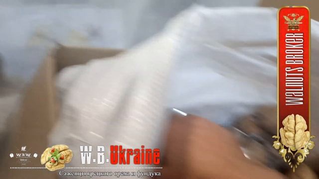 Семена грецкого ореха сорт Кочерженко, 16.10. 2019, Walnuts Broker