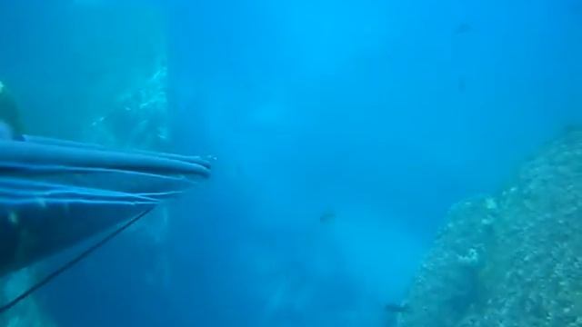 nikon s 3000 смотреть онлайн