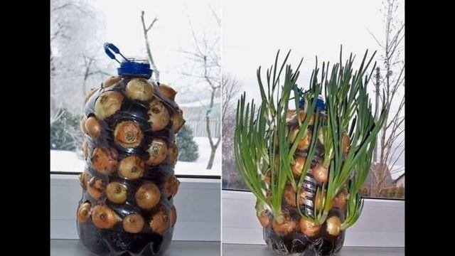 Полезные мелочи для дома своими руками.