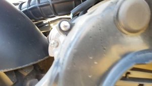 Stels Vortex 150 странный звук, обгонная муфта?