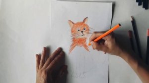 Рисуем с детьми кота цветными карандашами. Легкое рисование для детей от 6 лет