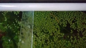 Удобрение Tetra PlantaMin