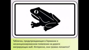 Необычные дорожные знаки мира