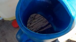 Подкормка клубники весной .