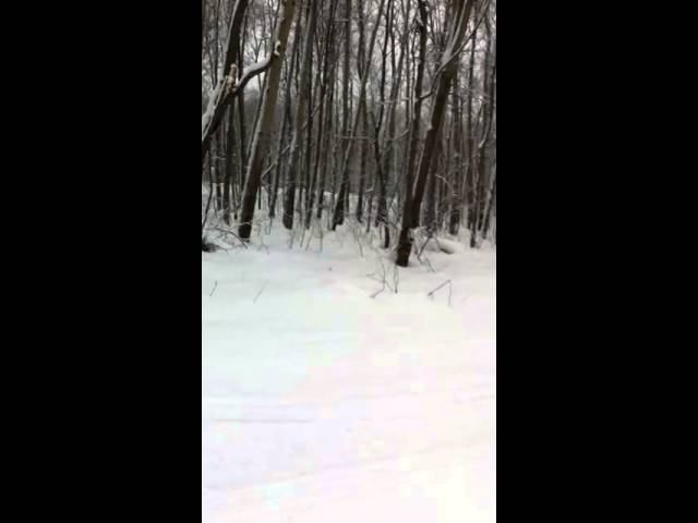 Паравоз смотреть онлайн