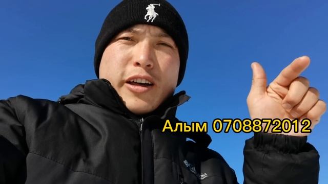 Жылкы мал уй карагандар сөзүз көргүлө бул байтал сиздики болушу мүмкүн смотреть онлайн