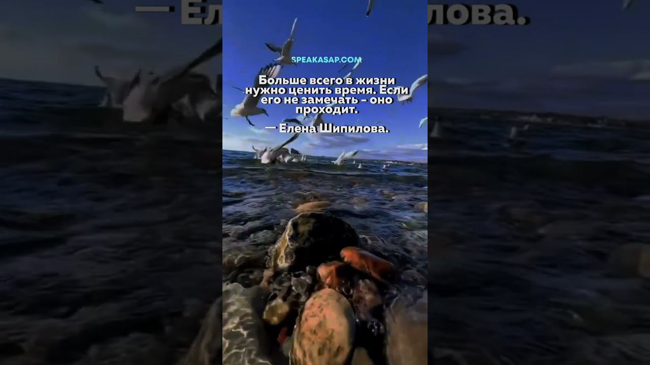 Больше всего в жизни нужно ценить время. Если его не замечать - оно проходит. Елена Шипилова®. смотреть онлайн