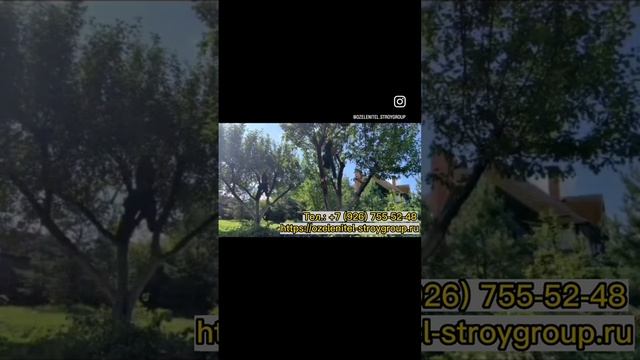 Услуги обрезки плодовых деревьев в Москве, МО. Заказать выезд агрономов-плодоводов по т. 84956695223