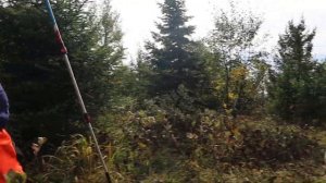 Поход на гору Малый Иремель.