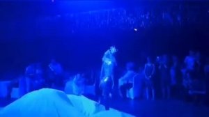 Номер оригинального жанра с полотном