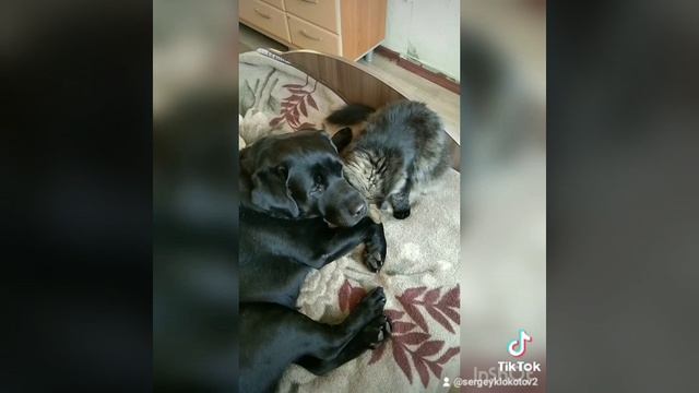 любовь