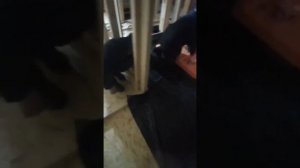 заливка стяжки в каркасном доме
