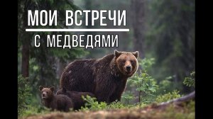 МОИ ВСТРЕЧИ С МЕДВЕДЯМИ