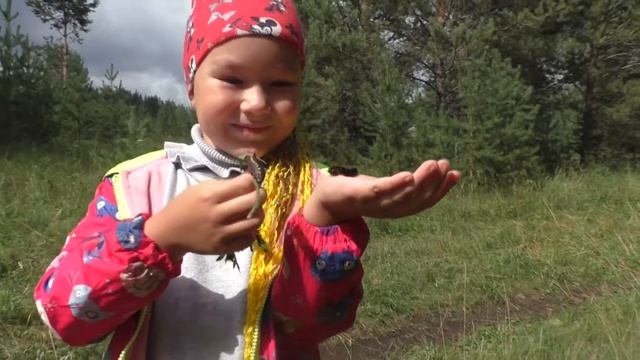 Агния шоу в лесу/ ЕЖИК ВОЛОСАТАЯ ГУСЕНИЦА ГРИБОЧКИ ЯГОДКИ