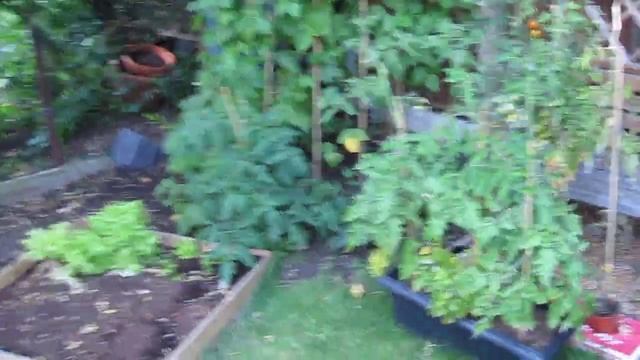 Test Video with new HD video смотреть онлайн