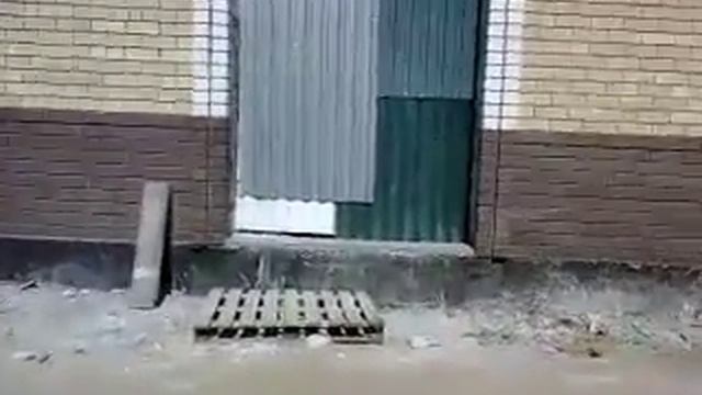 Курган Некрасов д 15 ст1 Внутри смотреть онлайн