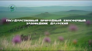 «Заповедное ожерелье Байкала». Даурский государственный биосферный заповедник