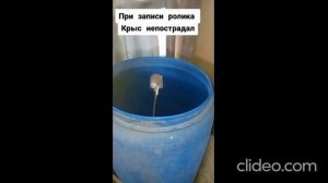 Самые смешные Приколы с Тик Ток