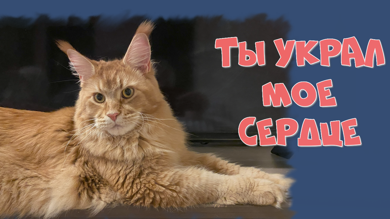 Мейн-кун Филипп