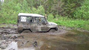 не сидится нам по домам клип