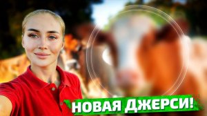 Привезли новую коровку и не только! Трудовые будни в сентябре! | Молодая Ферма