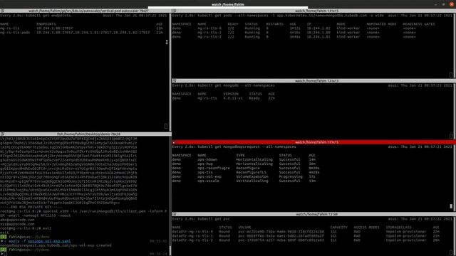 Volume Expansion of a MongoDB Database on Kubernetes | Run Production-Grade Databases on Kubernetes смотреть онлайн