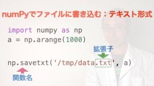 #29 NumPyでファイルにデータを読み書きする