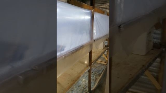 Укоренения малины #малина #сажаем #бокс #термобокс #супер #способом #живет #растет #лайфхаки смотреть онлайн