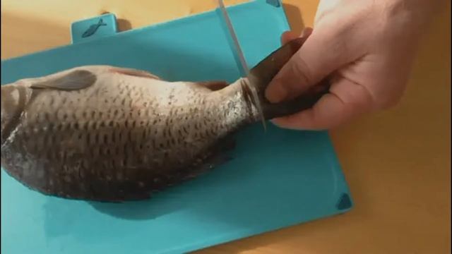 Больше рыбу не жарим. Рыба для гурманов: секретный маринад плюс несколько нюансов смотреть онлайн