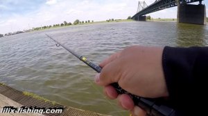 Судак, Окунь.Дроп-шот, каролина, сплит-шот