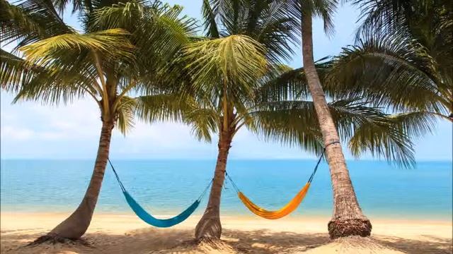 Карри приправа польза смотреть онлайн