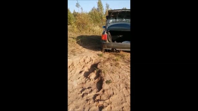 Морковь и свёкла убераем урожай. смотреть онлайн