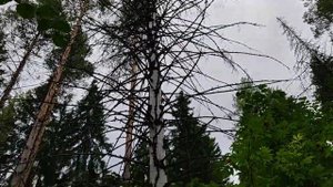 Памятник природы ''Вакутин (Серый) Камень'' в Суксунском районе Пермского края России