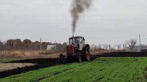 МТЗ-5 Осенняя пахота 2020
