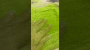 Как стричь мех?