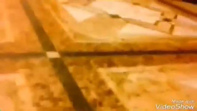 Хомяк Васька:От первого лица смотреть онлайн