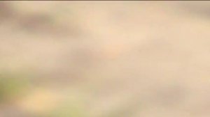 лесосибирск