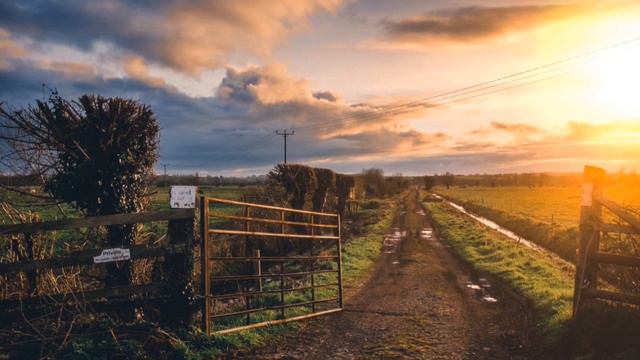 DIVREI HAYAMIYM RI’SHON (1 CHRONICLES) 19: DAVID’S MESSENGERS ABUSED. смотреть онлайн