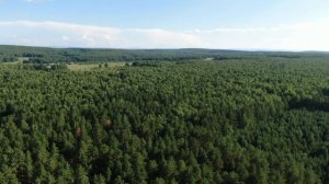 Село Плоское Красноярский край