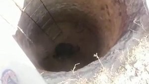 Яма под кольца, копает Андресса