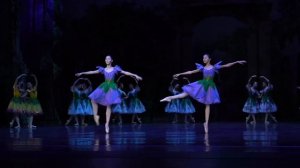 “Роман бутона розы и мотылька”