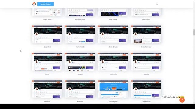 Olympus - Powerful BuddyPress Theme for Social Networking buddypress membership site Sugihara смотреть онлайн