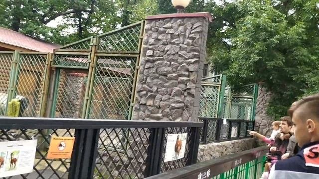 Санкт-Петербург, Ленинградский зоопарк / Saint-Petersburgh, Leningradskiy Zoopark.