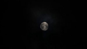 Stock Video Footage, Видеофон, Футаж Природа moon_night_cloud_4k