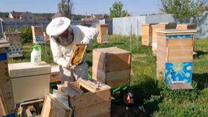 Поднимаю старые рамки во второй корпус, а в перый устанавливаю вощину и рамки с полосками