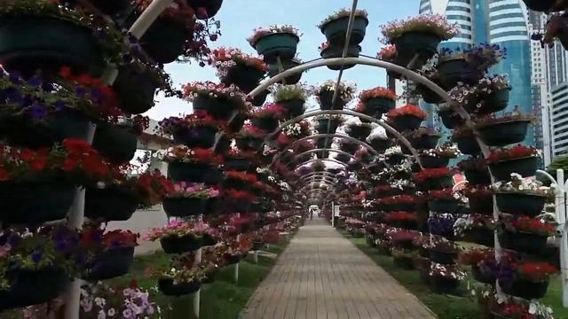 ЦВЕТОЧНЫЙ ПАРК В ГРОЗНОМ