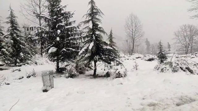 snowfall in Manali|| drive on black ice ||Renault duster perform good on black ice смотреть онлайн